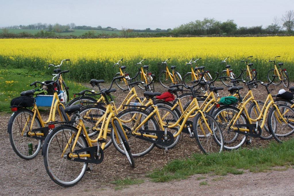 Die Insel der gelben Fahrräder